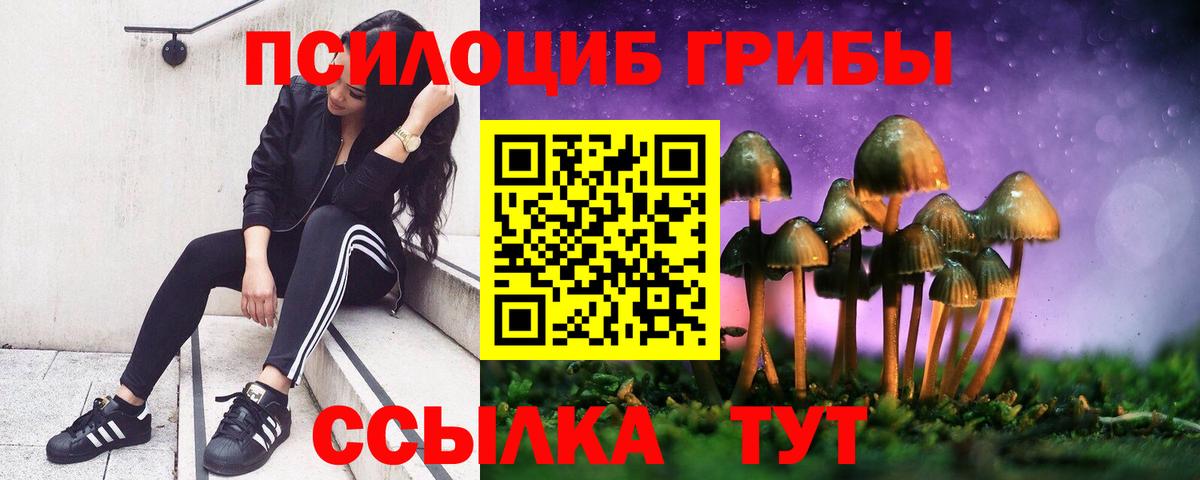 Галлюциногенные грибы MAGIC MUSHROOMS Алексин